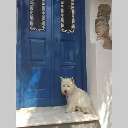 Blue & White: An Absolute Aegean Dream House Villa Galini  Екстериор снимка
