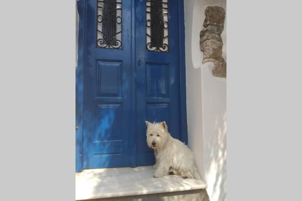 Blue & White: An Absolute Aegean Dream House Villa Galini  Екстериор снимка